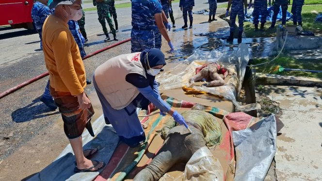 
					PMI Evakuasi Lima Jenazah Korban Banjir, BFLF Lhokseumawe–Aceh Utara Salurkan Bantuan Hingga Menjadi Call Center Darurat