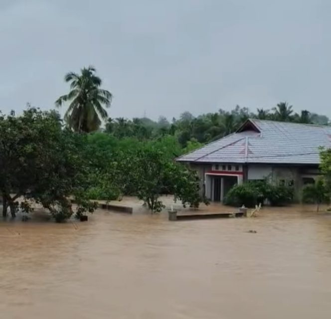 
					50 Warga Terjebak Banjir Luapan Krueng Peusangan di Bireuen, Sinyal Terputus dan Bantuan Mendesak