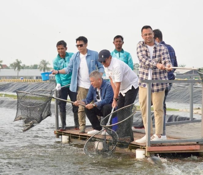 
					Ariel, Gading, Raffi & Desta Blusukan ke Tambak Nila Salin Karawang, Seru Banget!