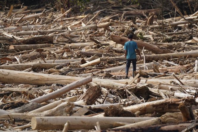 
 Sungai itu Terkubur Ribuan Kubik Kayu dan Pasir