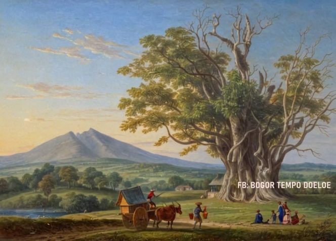 
 Beringin Batutulis: Saksi Seribu Tahun Sejarah Dayeuh Pakuan