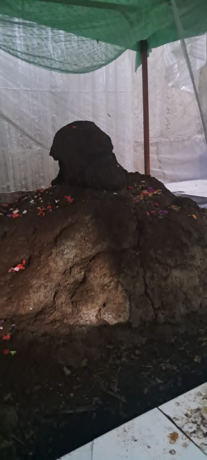 
 Fenomena Gundukan Tanah di Makam R. Santri Wijaya Kusumah Menarik Perhatian Peziarah