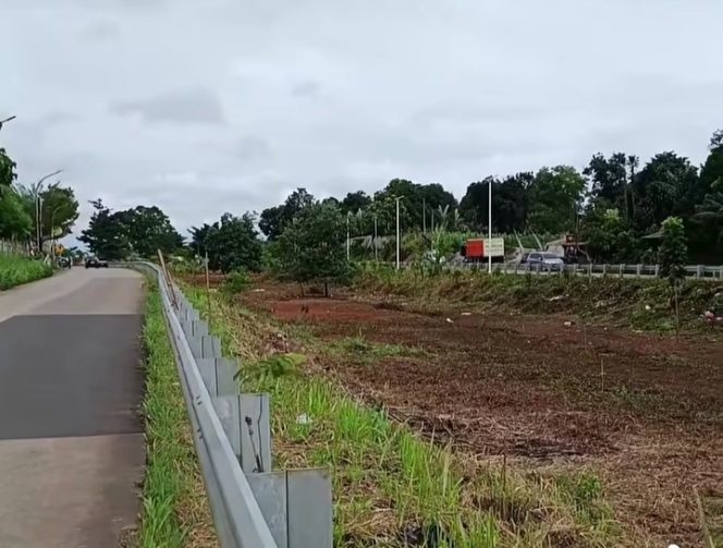 
 Bupati Bogor Tata Jalan Bomang, Tanam Ratusan Pohon untuk Stabilitas Lingkungan
