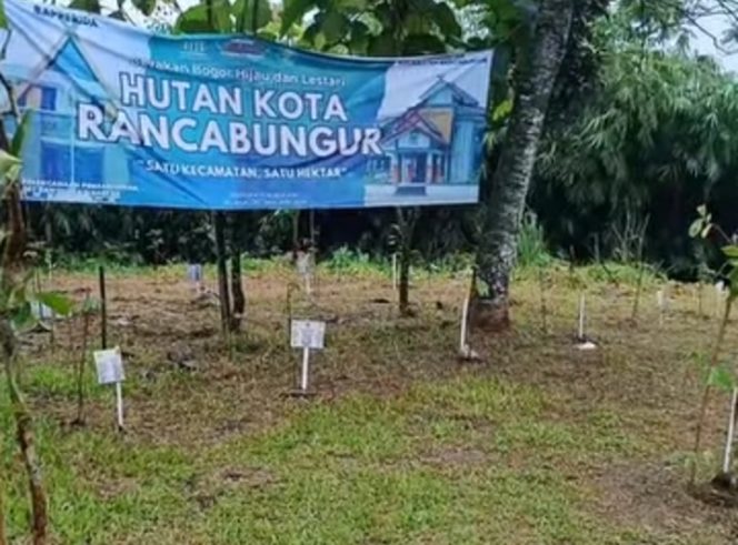 
 Hutan Kota Mulai Terwujud di Rancabungur, Bupati Bogor Targetkan Tiap Kecamatan Miliki Ruang Hijau