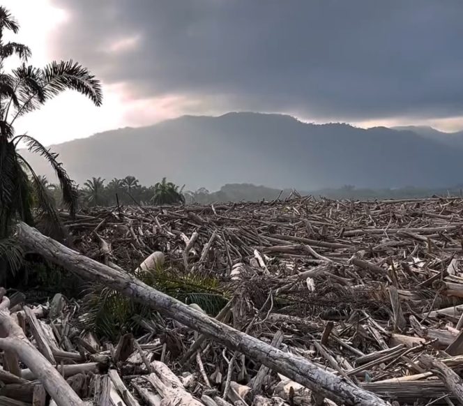 
					Update Bencana Aceh Tamiang, 101 Orang Meninggal dan 18 Luka-luka
