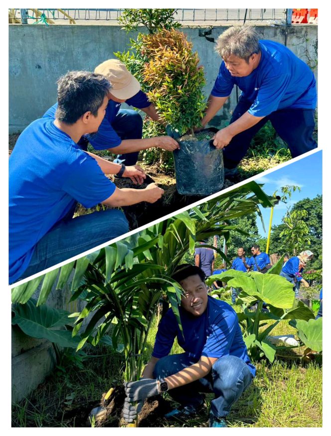 
 Penghijauan Area Lapangan Penumpukan Petikemas, Komitmen Greenport TPK Berlian