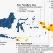 Peta angkutan perintis