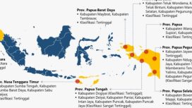 Peta angkutan perintis