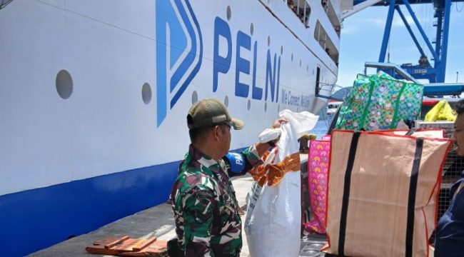 Petugas mengamankan hewan langka yang akan diselundup