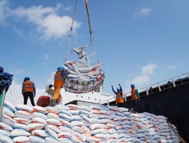 Layanan PTP Nonpetikemas