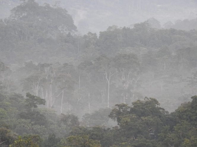 
 Tubuh Alam yang Diam-Diam Terluka