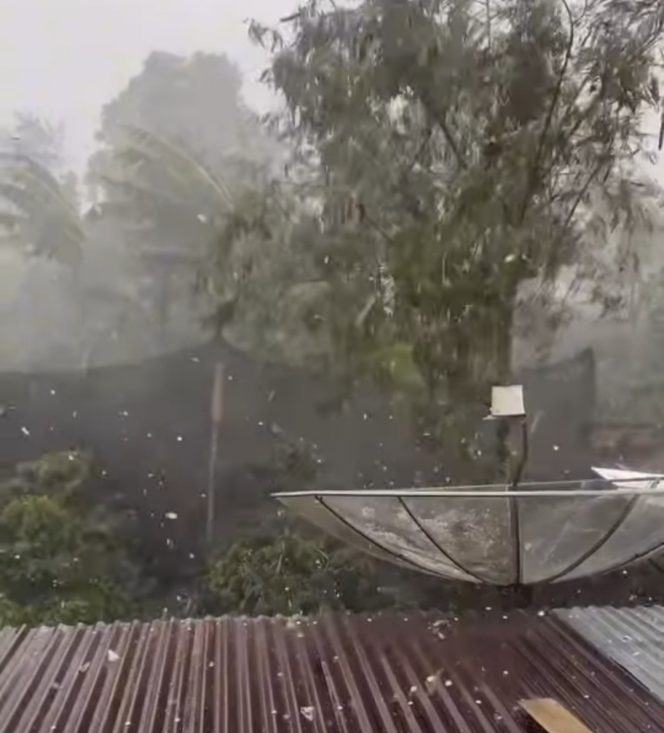 
 Hujan Es Hantam Atu Lintang, Puluhan Hektare Kebun dan Rumah Warga Rusak