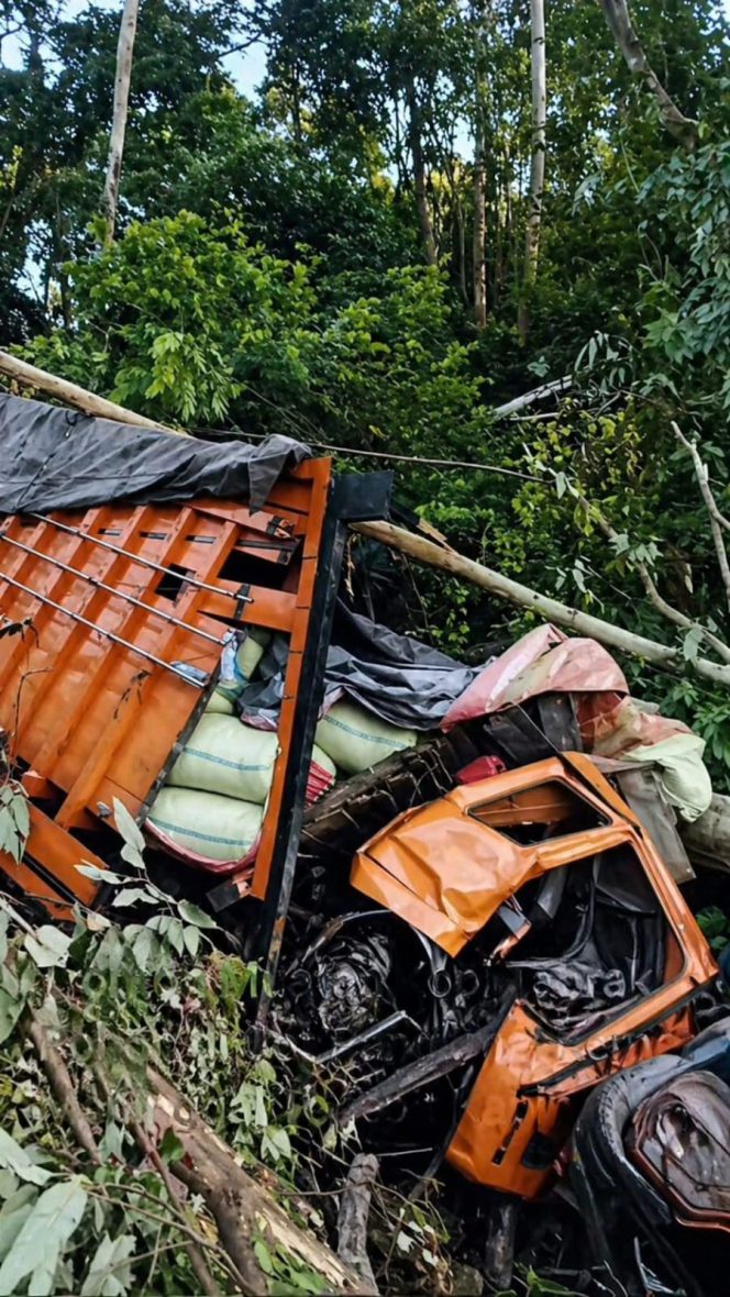 
 Truk Tronton Bermuatan Kopi Tabrak Pohon di Bireuen, Kernet Tewas Terjepit