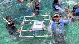 Penyerahan simbolis rak terumbu karang dari Meratus Line pada Konservasi Terumbu Karang IPC TPK. Foto istimewa/IPC TPK