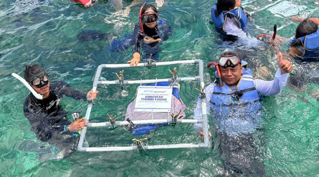 Penyerahan simbolis rak terumbu karang dari Meratus Line pada Konservasi Terumbu Karang IPC TPK. Foto istimewa/IPC TPK 