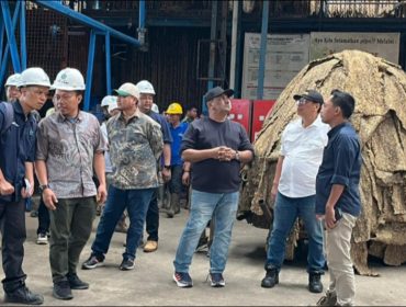 Direktur Produksi saat tinjau kebun karet di Bengkulu