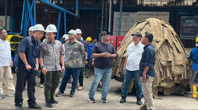 Direktur Produksi saat tinjau kebun karet di Bengkulu