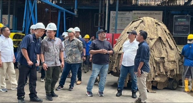 
 Direktur Produksi saat tinjau kebun karet di Bengkulu