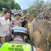 Kecelakaan bus dan truk di Sumsel (Ditjen Hubdat/dok)