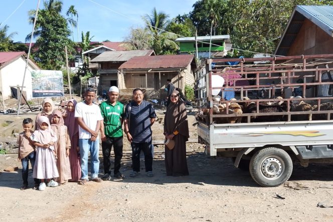 
 Donasi Saudara Seiman Setanah Air Salurkan 44 Ekor Hewan Qurban untuk Penyintas Bencana Hidrometeorologi di Aceh