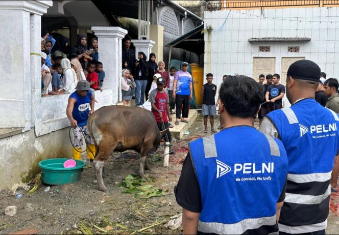 
 Hewan kurban dari TJSL PELNI