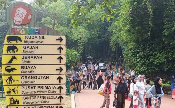 
 HUT Jakarta Ke-499: Ancol Hingga Ragunan Gratis, Transportasi & Antrian Jadi Ujian
