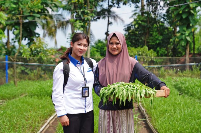 
 PNM dan Danantara Perluas Dampak Pemberdayaan, Jangkau 23,1 Juta Pelaku Usaha Ultra Mikro