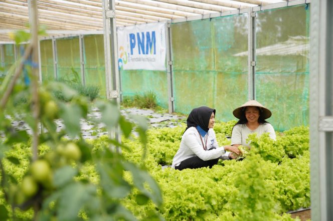 
 PNM Sabet Predikat Indonesia Most Trusted Companies, Penguatan Tata Kelola Jadi Kunci Kepercayaan Publik