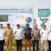 Wakil BKPM, Gubernur Lampung, dan Dirut PTPN I bersama jajaran