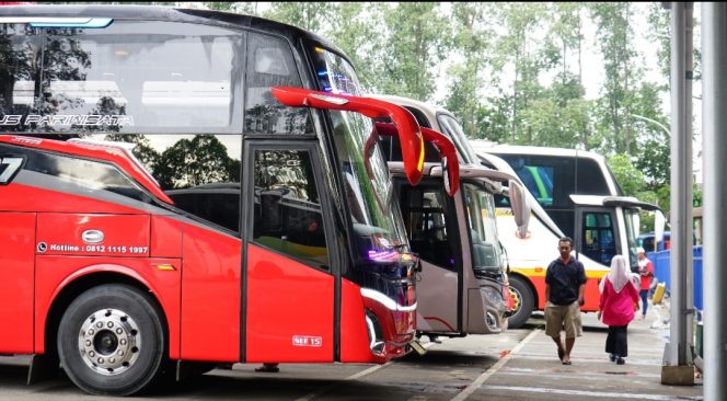 
 Bus AKAP