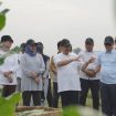 Peninjauan kebun Tembakau Deli, di Sumut