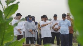 Peninjauan kebun Tembakau Deli, di Sumut