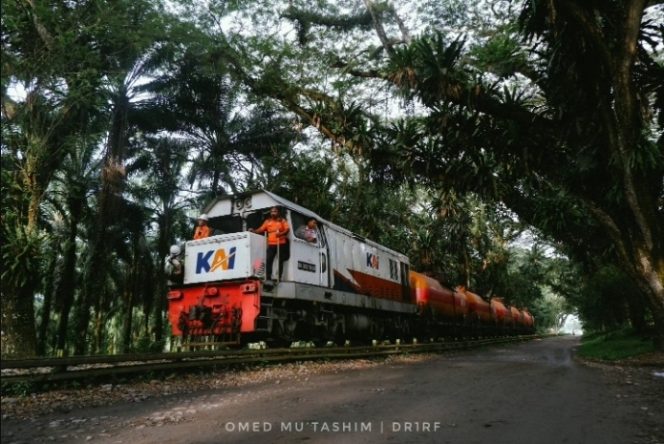
 KAI Angkut 268.728 Ton Komoditas Perkebunan, Naik 7,78 Persen