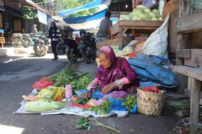 
 Paradoks Lansia Indonesia: Menua dalam Jeratan Sektor Informal