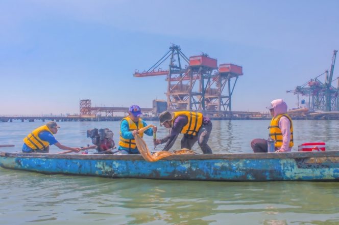 
 Terminal Teluk Lamong Gandeng BRIN Petakan Biota Laut, Perkuat Komitmen Pelestarian Lingkungan