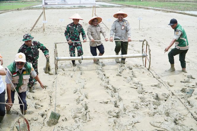 
 Aceh Tamiang Mulai Tanam Padi Perdana di Lahan Pascabanjir, Terapkan Sistem Pertanian Modern