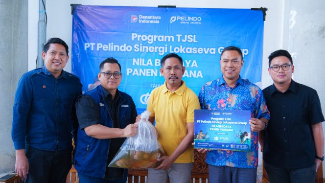 
 Dari Kolong Tol untuk Ketahanan Pangan, PT Pelindo Sinergi Lokaseva Panen Perdana TJSL Ikan Nila