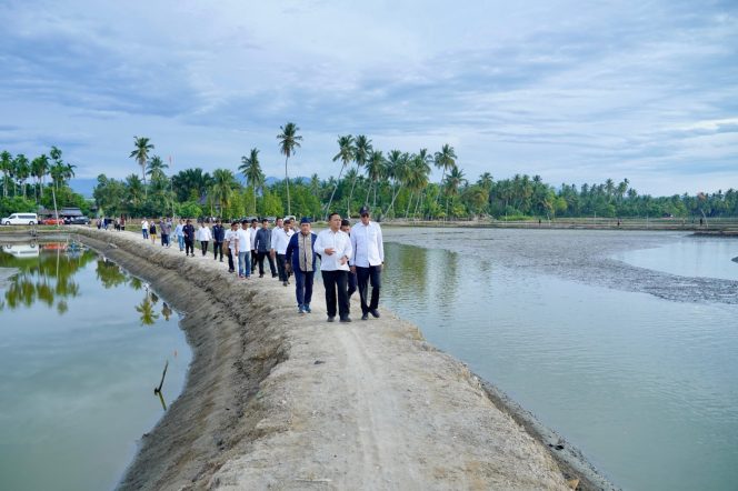 
 KKP Percepat Rehabilitasi Tambak di Aceh, Targetkan 15.000 Hektare Kembali Beroperasi Tahun Ini