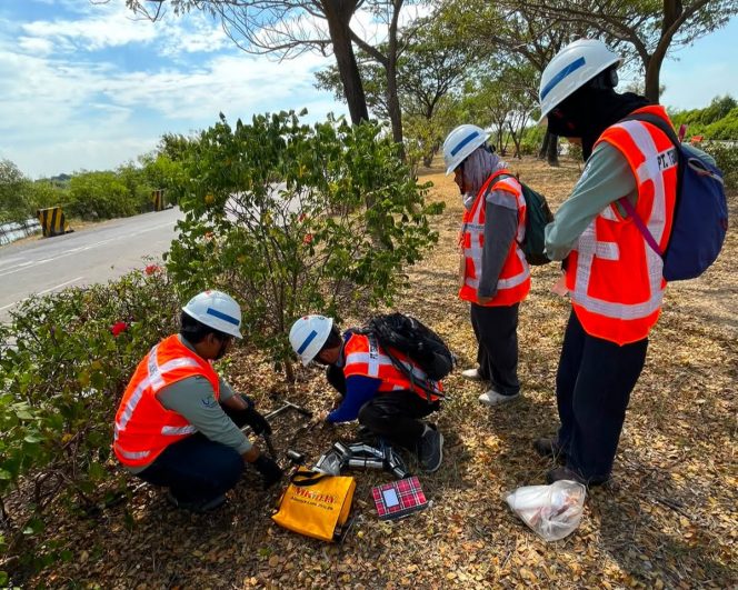 
 Terminal Teluk Lamong Gandeng BRIN, Perkuat Komitmen Hijau Lewat Riset Keanekaragaman Hayati