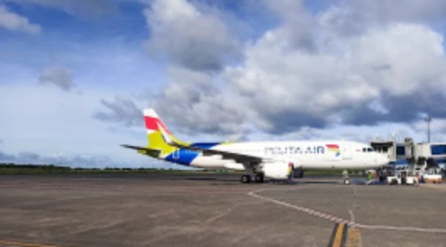 Penerbanhan Pelita Air (dok)