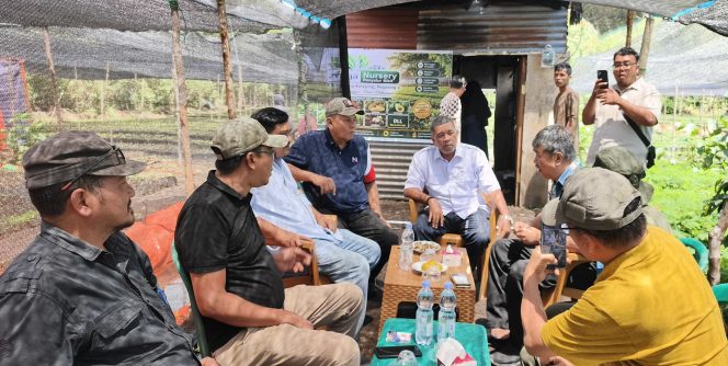 
 TMI Aceh dan PT Bio Energy Rimba Tinjau Pembibitan Kopi CV A Tiga Nursery, Perkuat Program Penghijauan dan Pemberdayaan Petani
