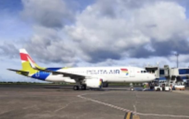 
 Armada Pelita Air
