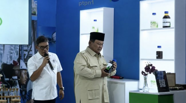 Presiden di Malang