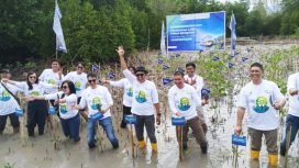Penanaman Mangrove di Pagimana (omy)