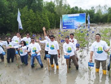 Penanaman Mangrove di Pagimana (omy)