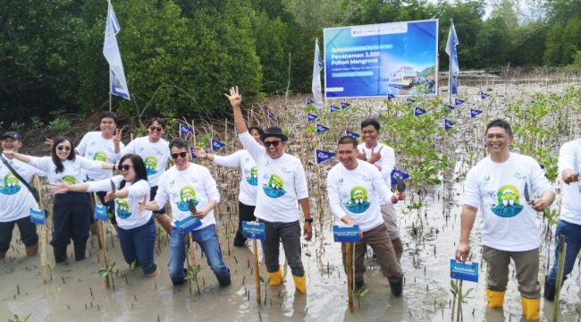 Penanaman Mangrove di Pagimana (omy)