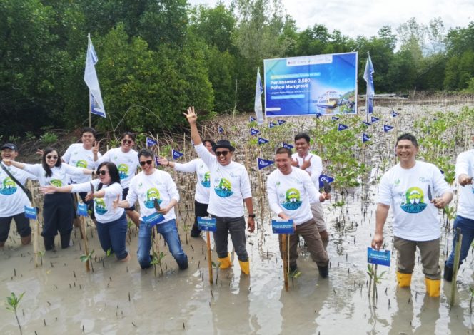 
 Penanaman Mangrove di Pagimana (omy)