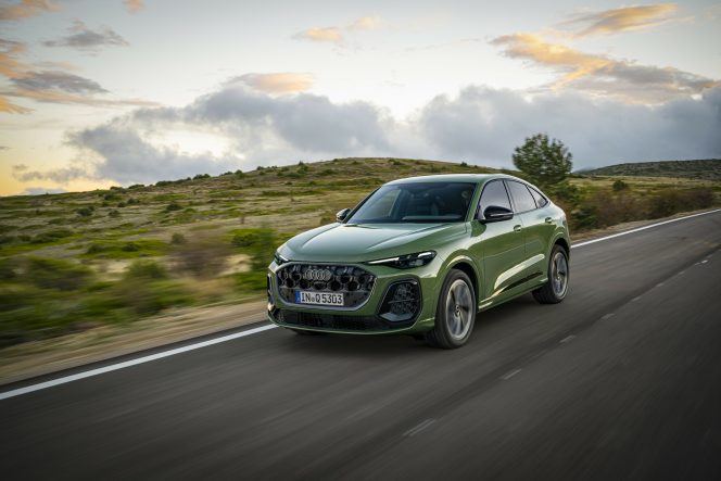 
 Dynamic photo,
Colour: District green metallic