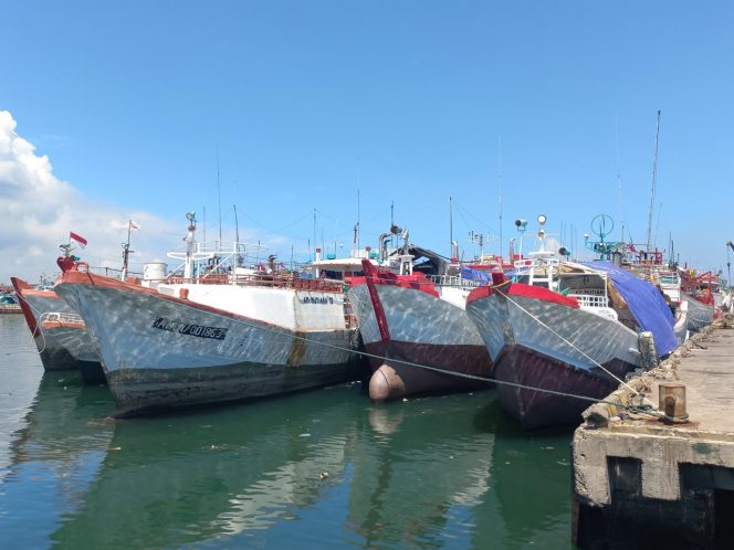 
 KKP Perkuat Pengawasan dan Ketertelusuran Perikanan Tuna, 87 Kapal Pelanggar Ditindak