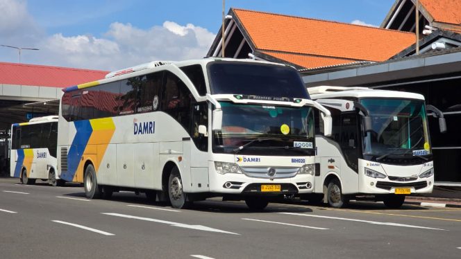
 DAMRI Hadirkan Promo Tarif Rp50.000 untuk Layanan Blok M–Bandara Soekarno-Hatta